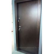 Дверь металлическая внутреннего открывания Берн