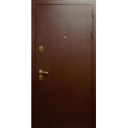 Дверь металлическая входная 5 фотография