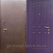 Стальная дверь Порошок + МДФ-6 фото