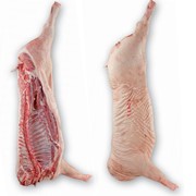 Мясо свинины полутуши глубокой заморозки | ООО Агропродукт фото