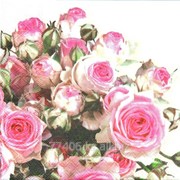 Салфетка для декупажа Розы максима крем фото