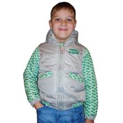 Куртка для мальчиков "Alligator" (Весна-Осень)