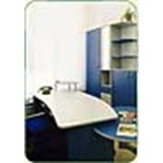 Корпусная мебель фото