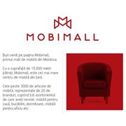 Коммерческий центр Mobimall в МолдовеMobimall in MoldovaMagazin de mobila in Moldova фотография