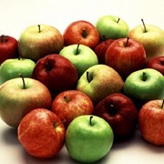 Яблоки свежие разных сортов от производителя Слава, Гала, мельбу.