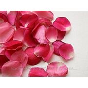 Лепестки роз (100 гр) фотография