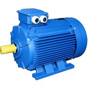 Электродвигатель АИМ63В2 мощность, кВт 0,55 3000 об/мин фотография