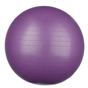 Мяч гимнастический для фитнеса 65 см фиолетовый