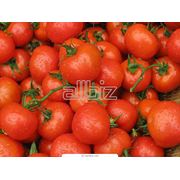 Томаты консервированные помидоры фото