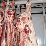 Мясо в полутушах из России фотография