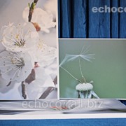 Акустические панели ЭхоКор с фотопечатью 60 мм фото