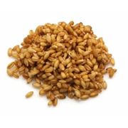 Пшеница цена на пшеницу купить пшеницу пшеницу купить Россия пшеница Россия фото