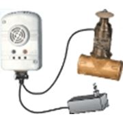 Сигнализаторы загазованности СГГ-10Б с клапаном КЭГ-9720 Ду 15 фото