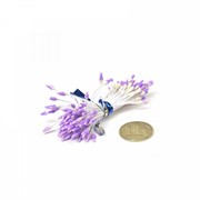 Тычинки для цветов удлиненные Фиолетовыо-белые уп.80шт. фотография