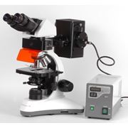 Микроскоп люминесцентный бинокулярный MC 300 (FХP) фотография