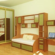 Мебель домашняя, производство Львов фото