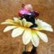 Стикер “Божьи коровки на цветочке“ фото