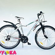 Велосипед горный eurotex flame 290804e/03