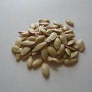 Семена огурца фотография