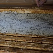 Мед в сотах, сотовый мед в рамке (Москва) фото