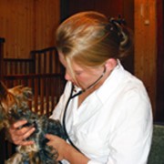 Профилактические ветеринарные мероприятия 093-408-09-36