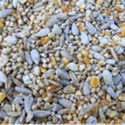 Корм для домашней птицы фото