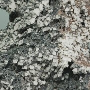 Концентрат минеральный “Галит“ фотография