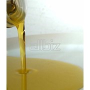 Предлагаем масло подсолнечное нерафинированное 1го сорта (налив) фотография