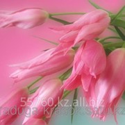 Картина стразами Букет розовых тюльпанов 20х30 см фотография