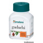 Гудучи (Guduchi) - иммунномодулятор, укрепляет иммунитет. фото