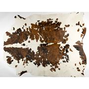 Шкура коровы фото