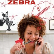 Ручки торговой марки ZEBRA фото