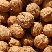 Walnut in shell фото