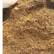 Шрот рапсовый фото