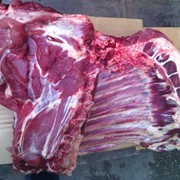 Мясо и мясная продукция говядина пол туши