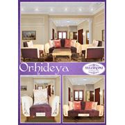 Мягкая мебель Orhideya фото
