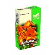 Календула лекарственная фото