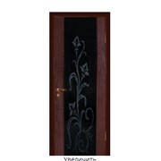 Двери из натурального шпона Этюд - Элит фото