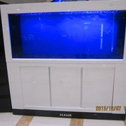Аквариум Cleair MBZ-1200 на 438 л. фото