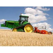 Земли фермерского хозяйства фото