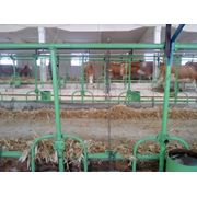 Оборудование для товарно-молочных ферм фото