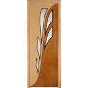 Шпонированная межкомнатная дверь Орхидея ДО