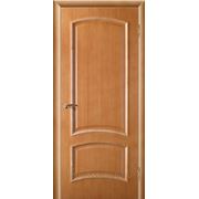 Межкомнатная дверь модель «Вика» (глухая) фото