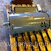 МАП 521-4/12 ОМ1 с ТМТ-52(фланец)-Электродвигатель фото