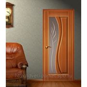 Межкомнатные двери Триада модель «Изумруд» дуб тонированный остекленная фото