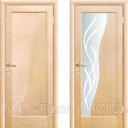 Двери ДВП спб двери МДФ ламинированные двери двери из ПВХ шпонированные двери спб в спб петербург фото