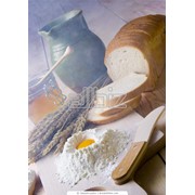 Хлеб пшеничный формовой в Алматы фотография