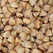 Посевной материал семена гречки собственного производства, цена за тонну фото