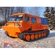 Легкий гусеничный грузовой снегоболотоход ТТМ-3 ГР (3 т., 6 чел.) фото