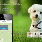 GPS-ошейник для собак и кошек X-Pet фотография